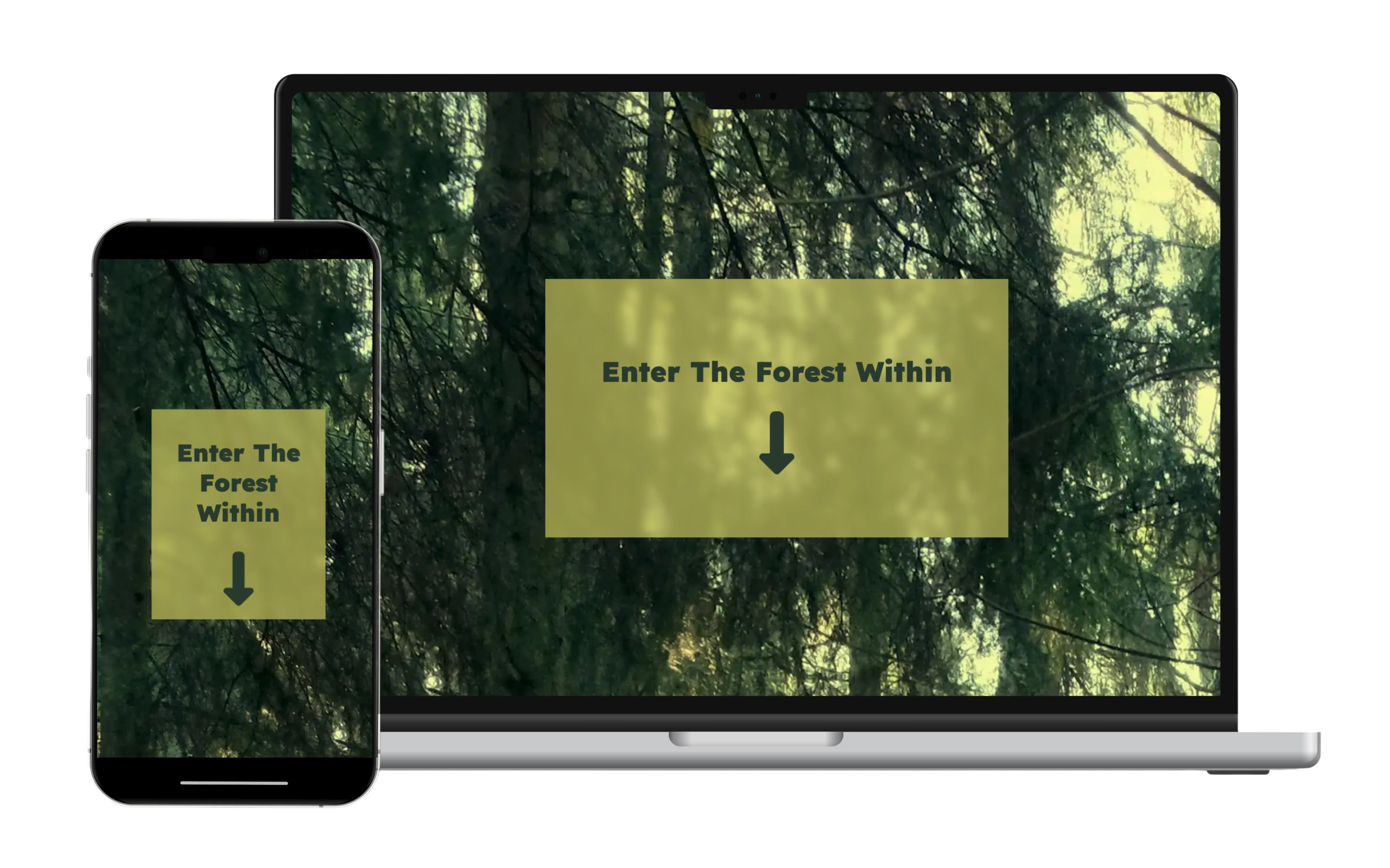 the forest within mockup